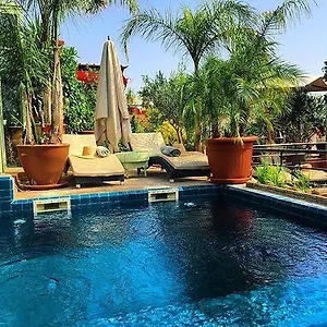 4* Riad Moullaoud